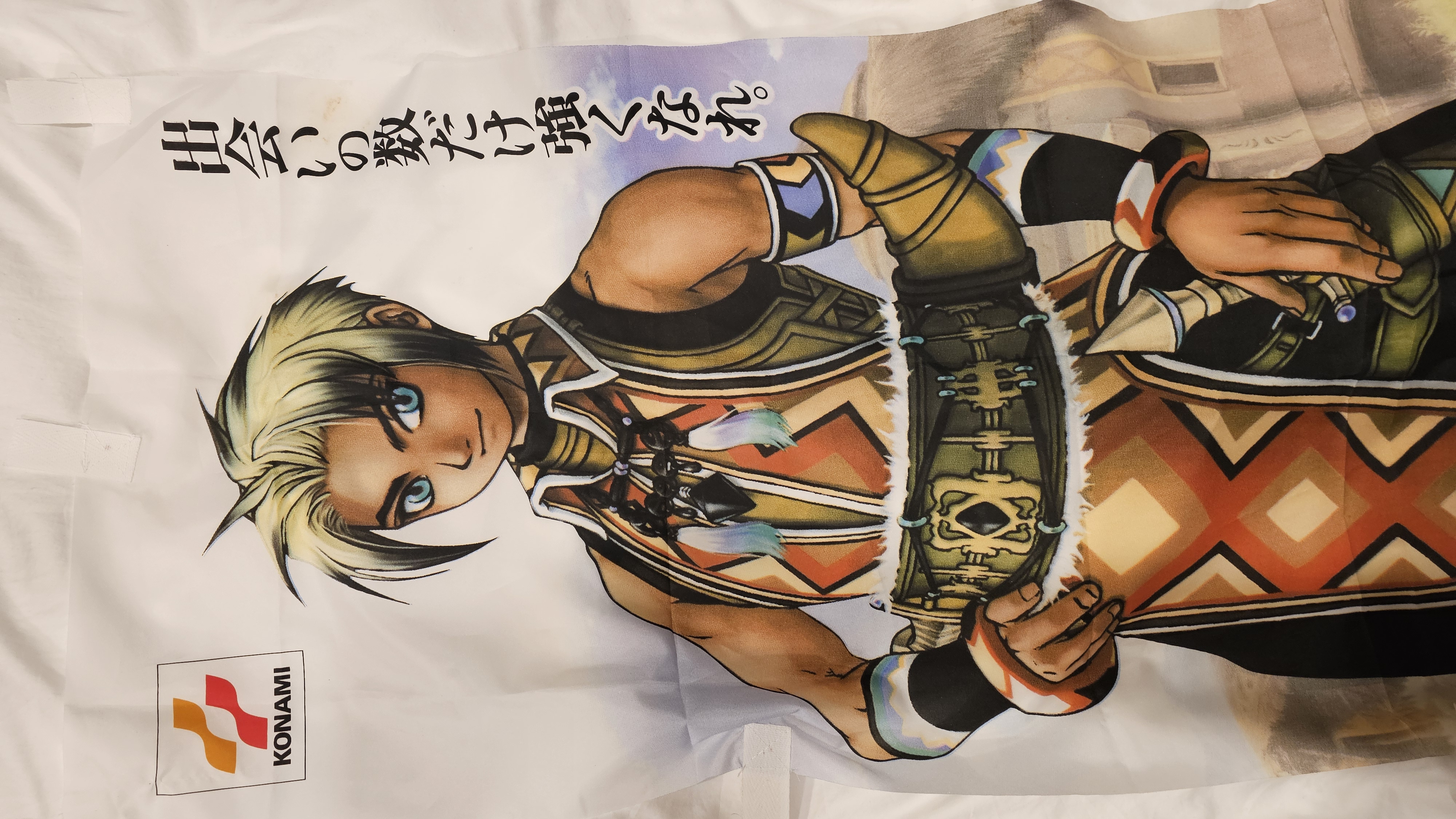 Hugo Life Size Promotional Tapestry Banner